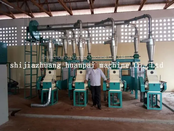 10-30TPD Malawi Maize Milling Machine With Price Best Selling Products in Africa photo-2