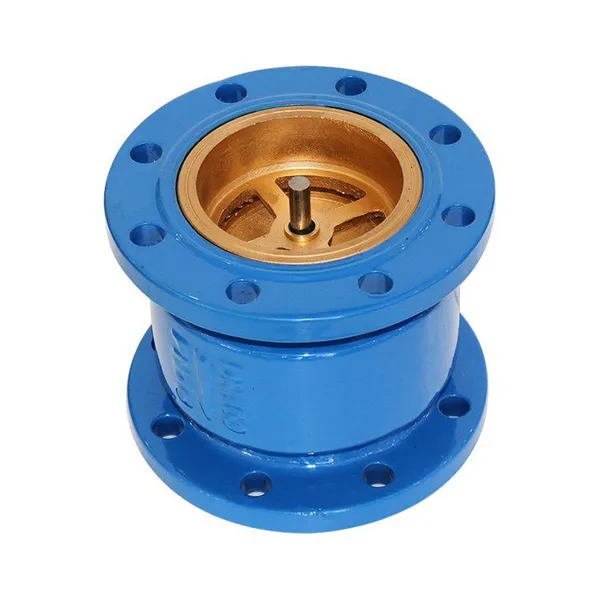Manufacturer Direct Sales Vertical Flange Check Valve photo-4
