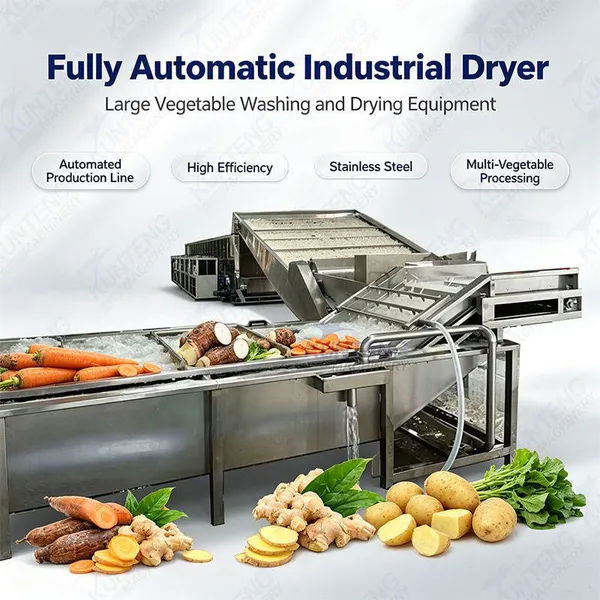 Fully Automatic Industrial Dryer Large Vegetable Washing and Drying Equipment Automated Washing Drying Production Line EPC