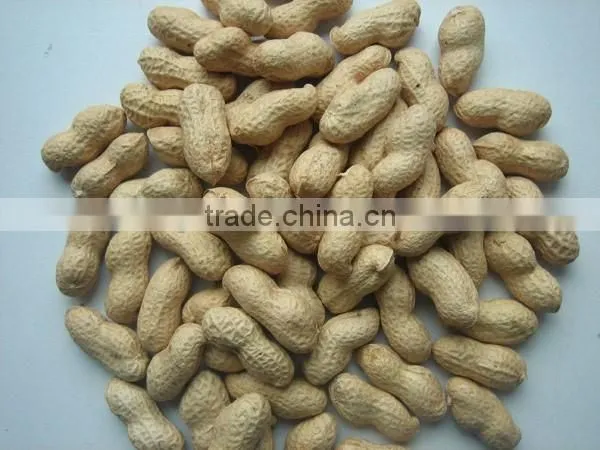 WASHED PEANUT IN SHELL 9/11