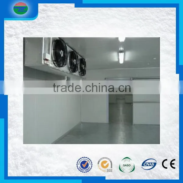 Practical Trade Assurance Blast Pizza Case Freezer Cold Storage/cold Room photo-6