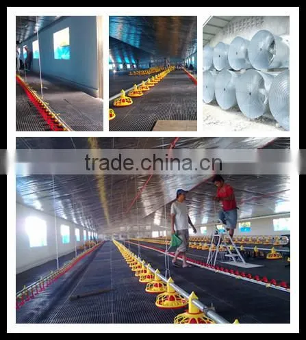 ISO9001 Qualifed Birdsitter Automatic Chicken House Poultry Farming System photo-6