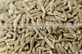 Cumin Seeds