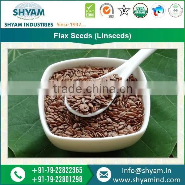 Oil Seeds Flax Seeds Dealers