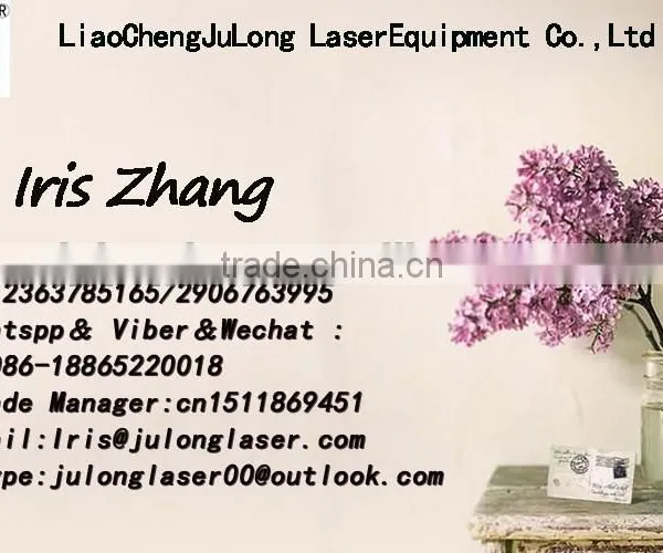 Fiber Laser Marking Machine 10w/20w for Metal Gold Dog Tag photo-6