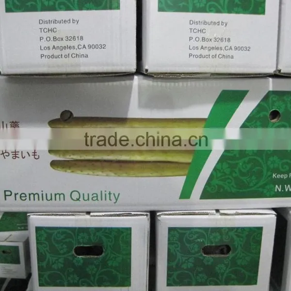 Vacuum Packing Fresh Yam photo-4