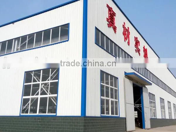 Pre Engineering Steel Structure Building/steel Structure Building