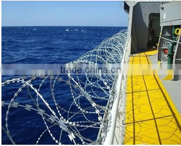 ISO9001 Silver Elec-galvanized Barbed Wire Fence for Private Area photo-2