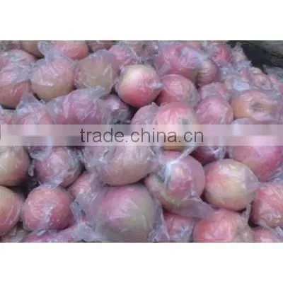 High Quality Red Fuji Apple photo-4