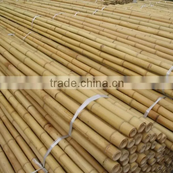 Straight Bamboo Cane Tonkin Bamboo Cane 16-18mm Cheap Bamboo Cane