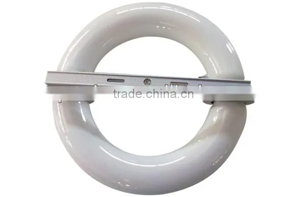 Low Frequency Electronic Discharge Lamp Electrodeless Indution Lamp