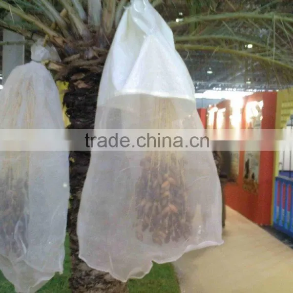 Date Fruit Bag photo-4