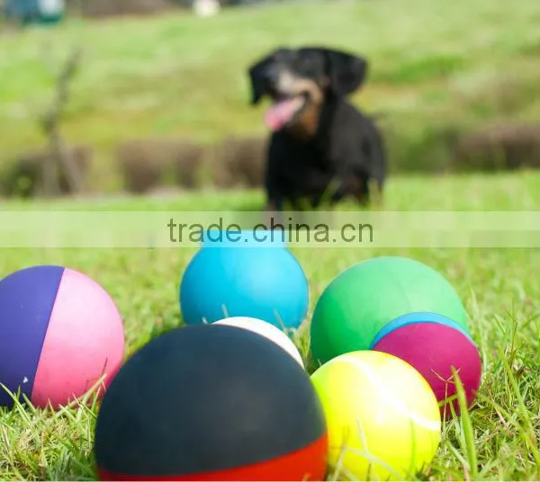 Wholesale Solid Pet Ball photo-3