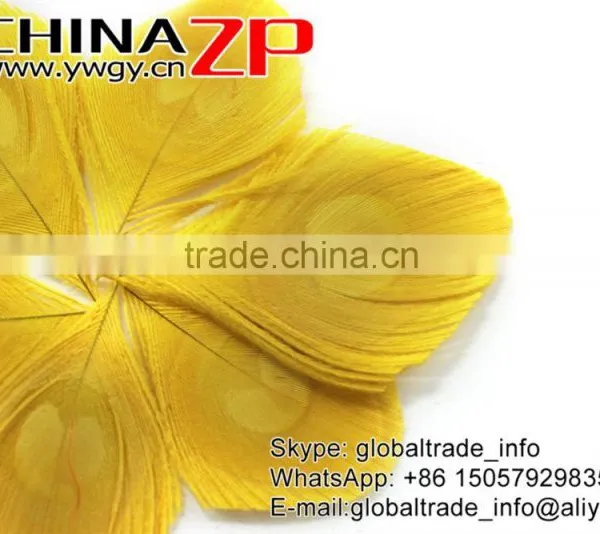 Leading Supplier CHINAZP Wholesale Top Selling Dyed Yellow Trimmed Peacock Feathers Eyes for Earrings photo-2