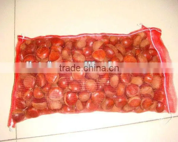 Chinese Fresh Chestnut in Shell With Mesh Bag Packing photo-3