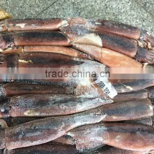 Frozen Squid Whole Argentina Illex photo-3