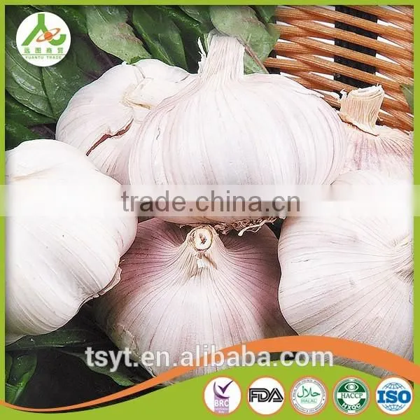 Bulk in Different Packing Fresh Garlic Garlic White Garlic photo-4