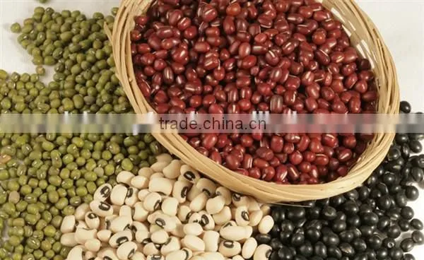 Red Kidney Beans for Hot Sale and With Free Sample for Sale photo-3