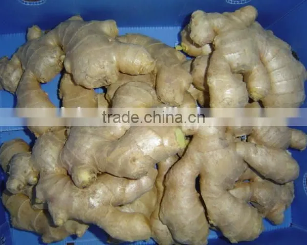 Yellow Color Fresh Ginger photo-5