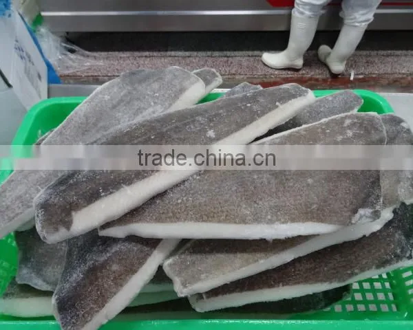 Wholesale Frozen Greenland Halibut Fillet (Reinhardtius Hippoglossoides)