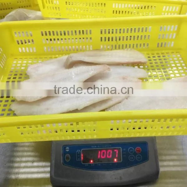 Frozen Alaska Pollock Fish Fillet for Thailand From China Seafood Exporter photo-3