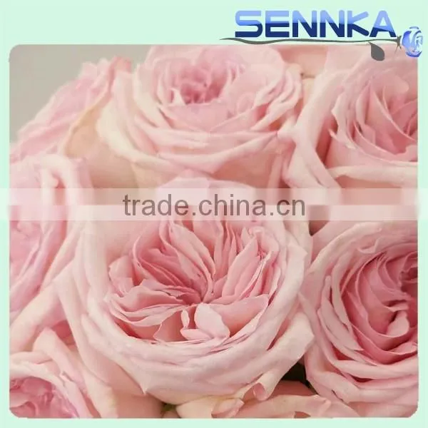 Wedding Preserved Rose Flower Decorative Flower photo-4