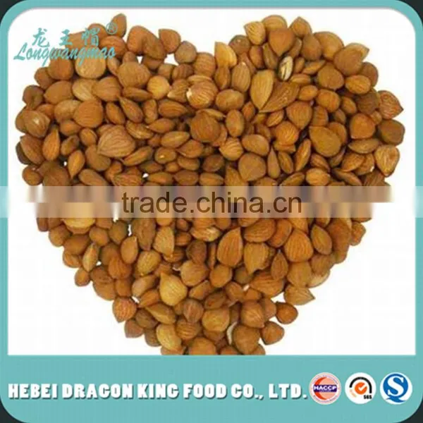 Apricot -Apricot Nuts - Raw Bitter and Sweet Kernels, Apricot Kernel From Own Factory
