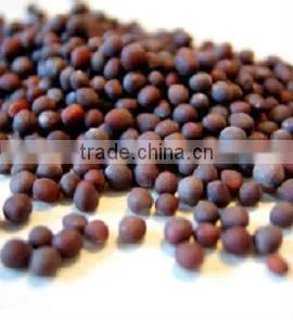 Quality Black Mustard Seeds