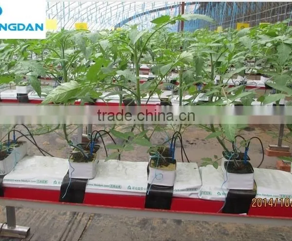 100% Non-asbestos Density 80kg/m3 Cheap Rockwool Cubes for Hydroponic Agriculture photo-6