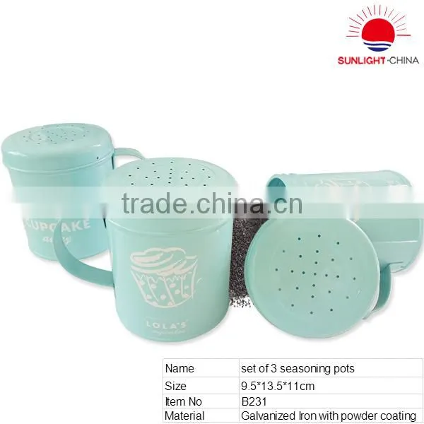 Set of 3 condiment pots,Galvanized Iron with powder coating seasoning pots