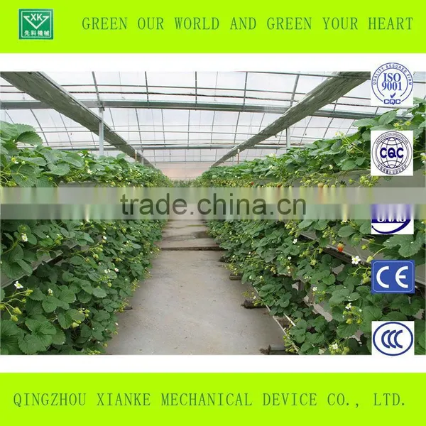 Low Cost Agriculture Greenhouse for Vegetable and Flowers photo-4