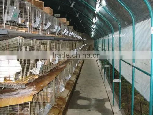 Low Cost Plastic Tunnel Greenhouse for Used Poultry Farm photo-3