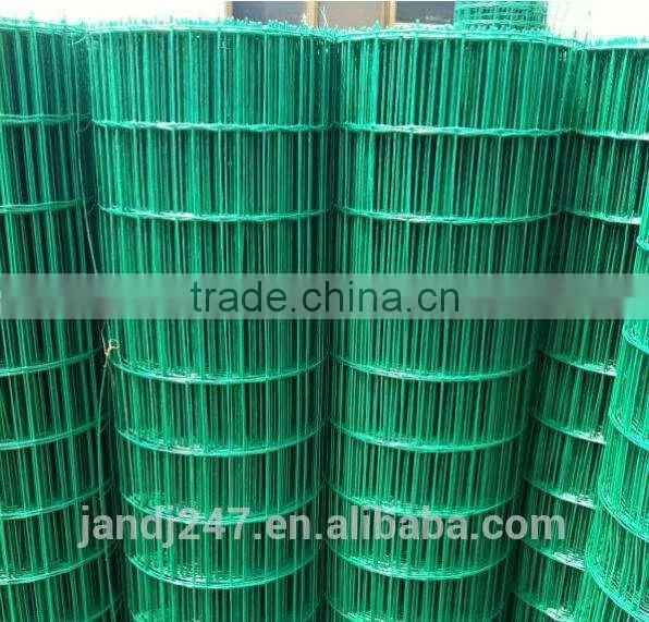 PVC Coated Welded Wire Mesh With Low Price photo-6