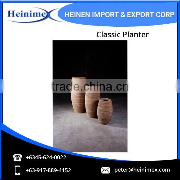 Natural Classic Planter for Bulk Buyers photo-4