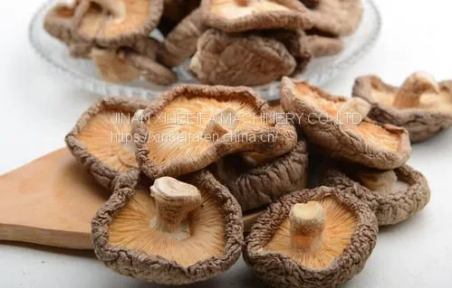 Mushrooms Drying Machine photo-5