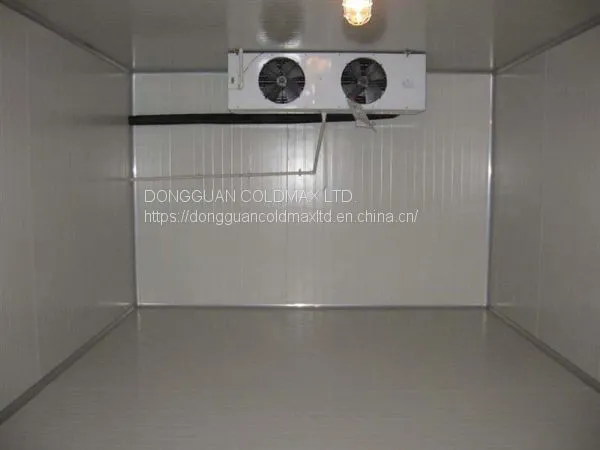 Cold Room Cold Storage for Lemon photo-5