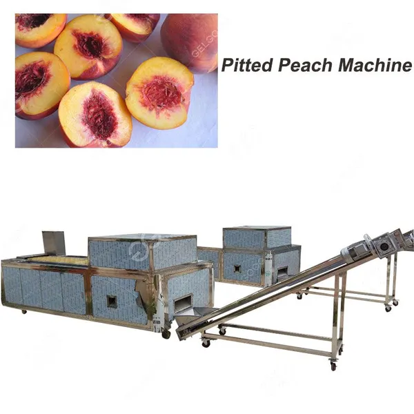 Date Pitting Process Equipment/Dates Pitting Machine Supplier photo-2