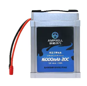 AMPXELL 48v 48ah wh 2458 Lithium-ion Batterise Pack Lithium Ion Phosphate Battery for Solar System With BMS photo-4
