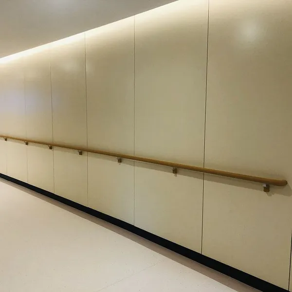 Japanese Nursing Home Handrails, Circular Handrails, Accessible Handrails, Wall Handrails photo-3