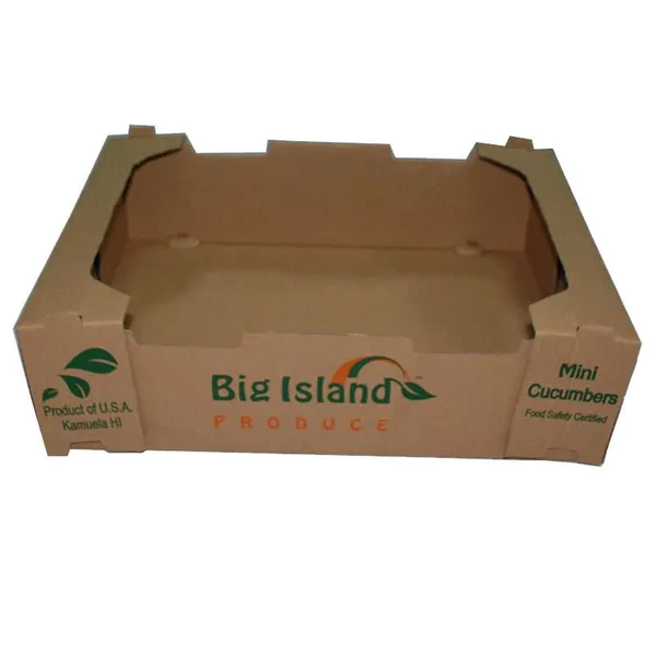 OEM Recyclable Coated Paper 1kg Orange Fruit Box for Export Shipping photo-5
