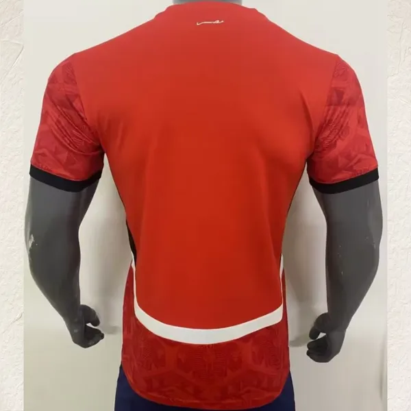 25-26 Egypt National Team Home and Away Jerseys, Ebiedala, Salah Fan Version Football Training Shirt photo-2