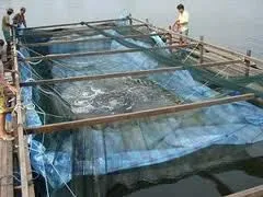 UV Stabilized Tarpaulin