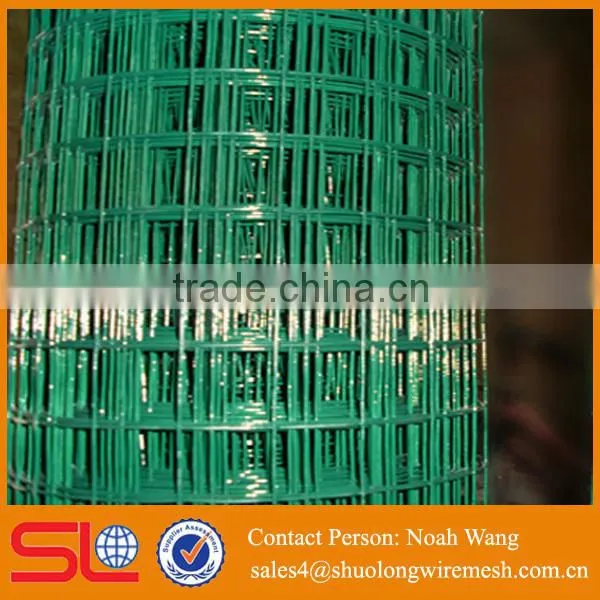 High Quality Various Colors Pvc Coated Welded Wire Mesh photo-2