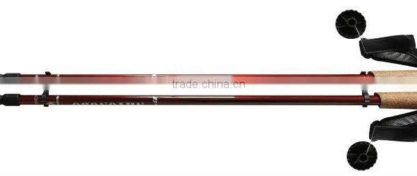 Nordic Walking Sticks