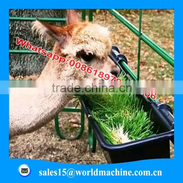 Export to Saudi Arabia Hydroponic Animal Fodder Controller for Growing Fodder Grass,barley,wheat,and All Kinds Vegetables photo-4