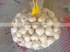 PERMIUM VIETMANESE FRESH GARLIC photo-5