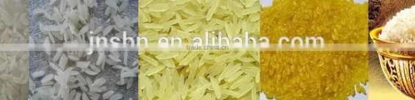 Automatic Artificial Rice Extruder photo-5