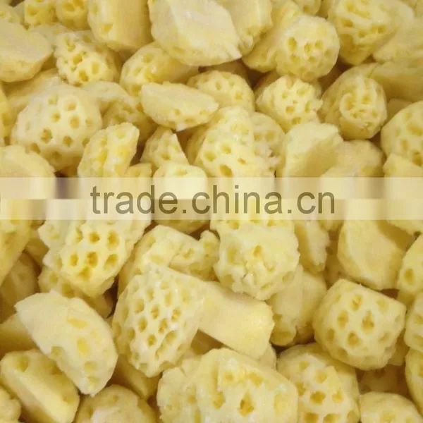 Frozen IQF Pineapple Dice photo-2