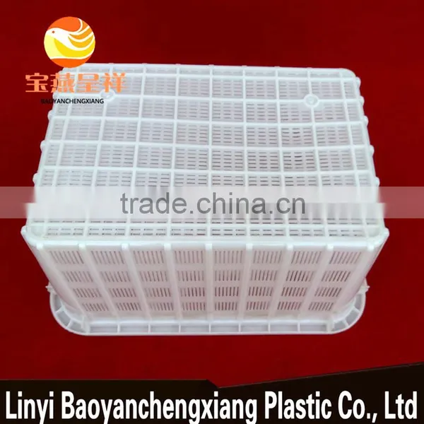 595x430x305mm Plastic Produce Basket for Turnover Transportation photo-4