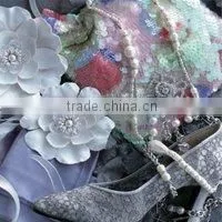 Super White Transparent PET Backlit Film